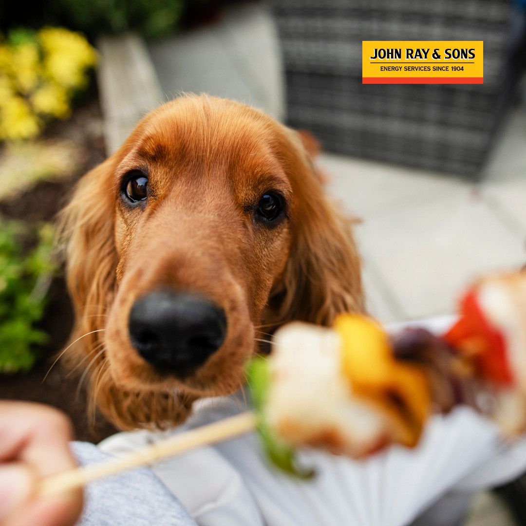 Did you know that July is National Grilling Month? Check out these ways that propane can help you fire up the grill and the fun this summer. #NationalGrillingMonth #PropaneTips buff.ly/ZhCSWDi