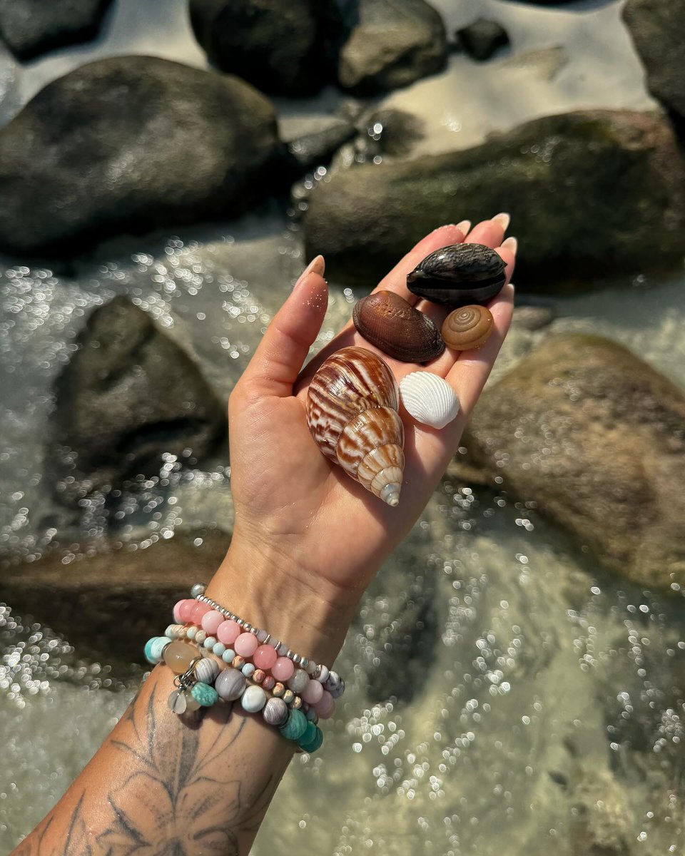 SunSun_19's tweet image. Who says the ocean can only be far away? The seashell in my hand brought the sea right to me. 🐚🌊✨

#OceanVibes #SeashellMagic #BeachLife #NatureLovers #TravelMoments #SeaBreeze #Wanderlust #CoastalLiving
