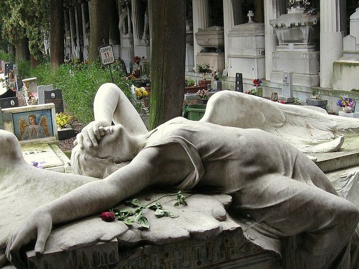 ⋆.ೃ࿔*:･𝖇𓆩♡𓆪˖*°࿐ (@niphrediill) on Twitter photo 