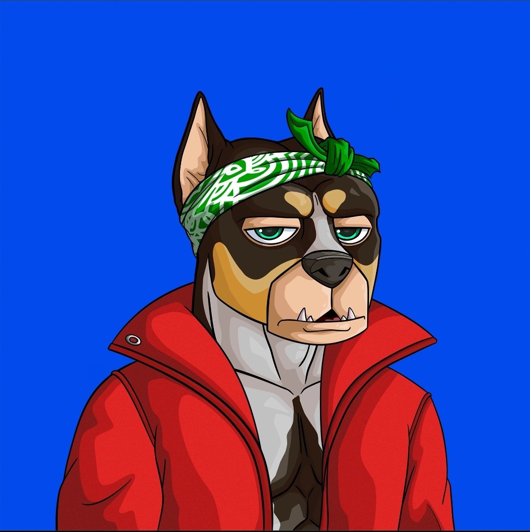 Amar Sandhu 🦍 (@amarsandhu23) on Twitter photo Thank you very much <a href="/ApeAlphaDogs/">ALPHA DOGS ON APE</a> on the very warm welcome to your community!
Ready to connect with more Alpha Dogs 🚀 Thank you very much <a href="/ApeAlphaDogs/">ALPHA DOGS ON APE</a> on the very warm welcome to your community!
Ready to connect with more Alpha Dogs 🚀