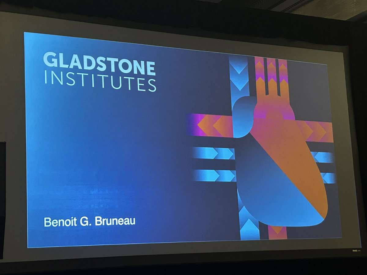 SoahLeePhD's tweet photo. This year’s keynote was from Dr. Bruneau on heart development in 3D—from transcriptional regulation to chromatin architecture. Stunning images and an eye-opening video of heart tube formation. A powerful close with #StandUpForScience and #ScienceMatters. #bcvs25 https://t.co/3s3SCb5r2h