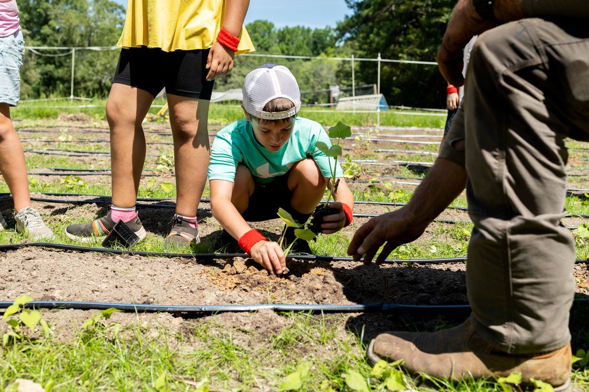 SoilHealthLabs's tweet image. 🌱‍👨‍👨‍👧‍👦 Kids + Soils = A New World of Possibilities!

This summer, we had the honor of joining the crew at THE FARM 1780, where kids spent the week learning how to grow their own food, build healthy soil, fish, and connect with the land.

📷Check out a few of our favorite moments!