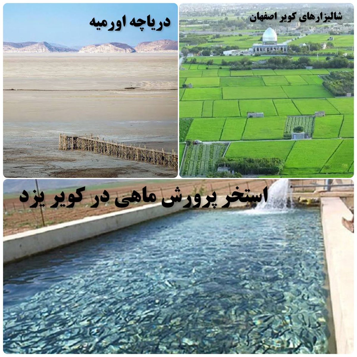 azadeb3's tweet image. منظره عدالت در ایران!

#استعمار
#تبعیض
 🇦🇿