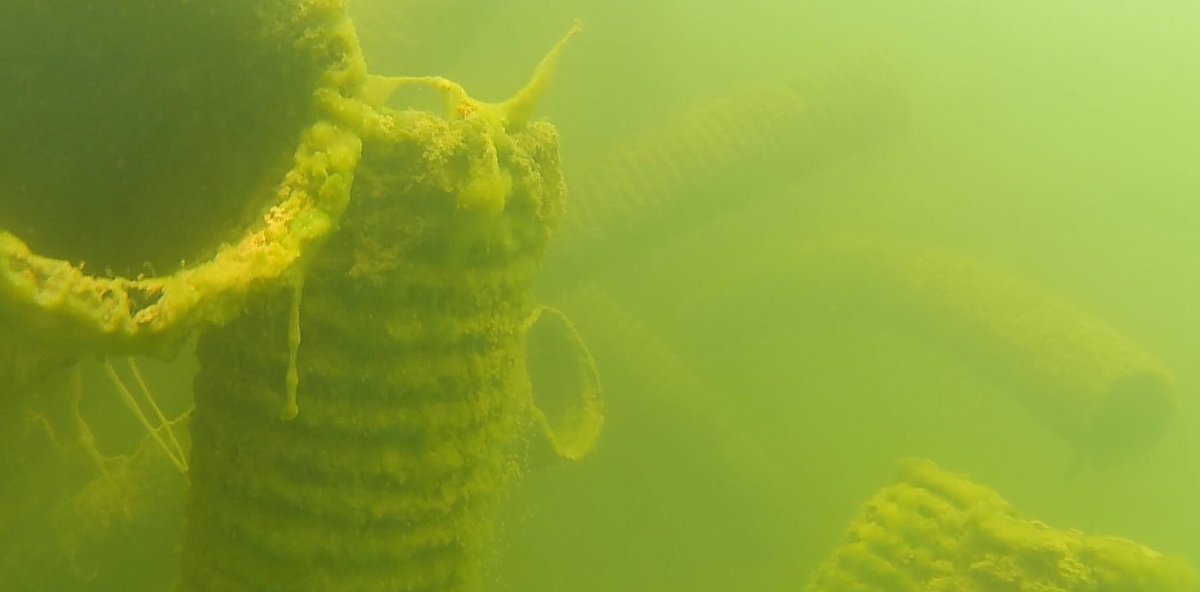 Some underwater images of artificial fish habitat after about two years .  These are corrugated pipe and concrete block.  Well covered in algae and seeing good fish usage.