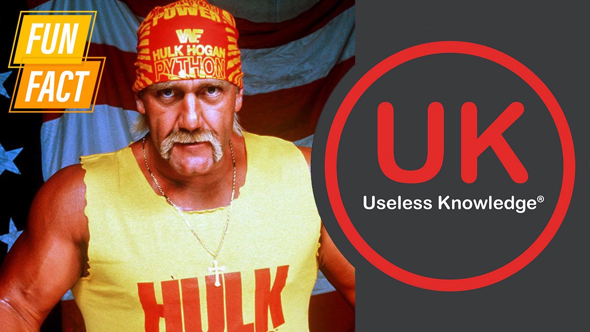 uselessdigital's tweet photo. Before The Hulkster became a wrestling legend, he was the bass guitarist in a Florida rock band called Ruckus in the mid‑1970s.  #hulkhogan #HulkHoganRIP #uselessknowledge #funfacts https://t.co/XaZj483TOv