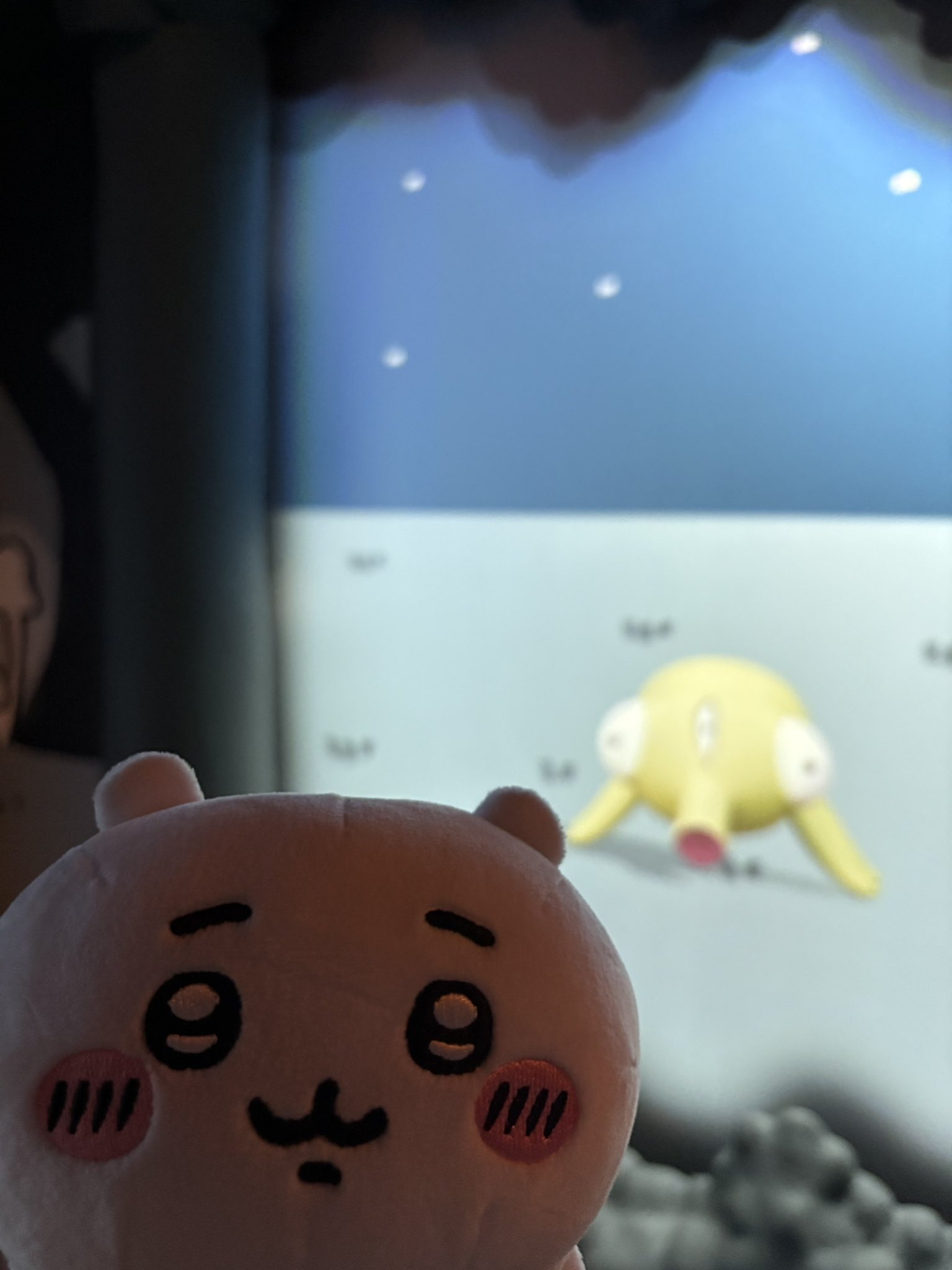 なみえ⭐︎ Nova』（@AndzxRX1）さん / X