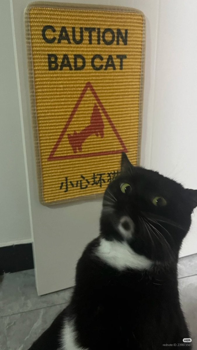 jessicajaimeshe's tweet image. #SussyOhConvoy si es cierto @ruleiro dijo &quot;subele felipe aunque sea en mis audífonos&quot; @perra_de_cadena #PoderosoDiscoClub6