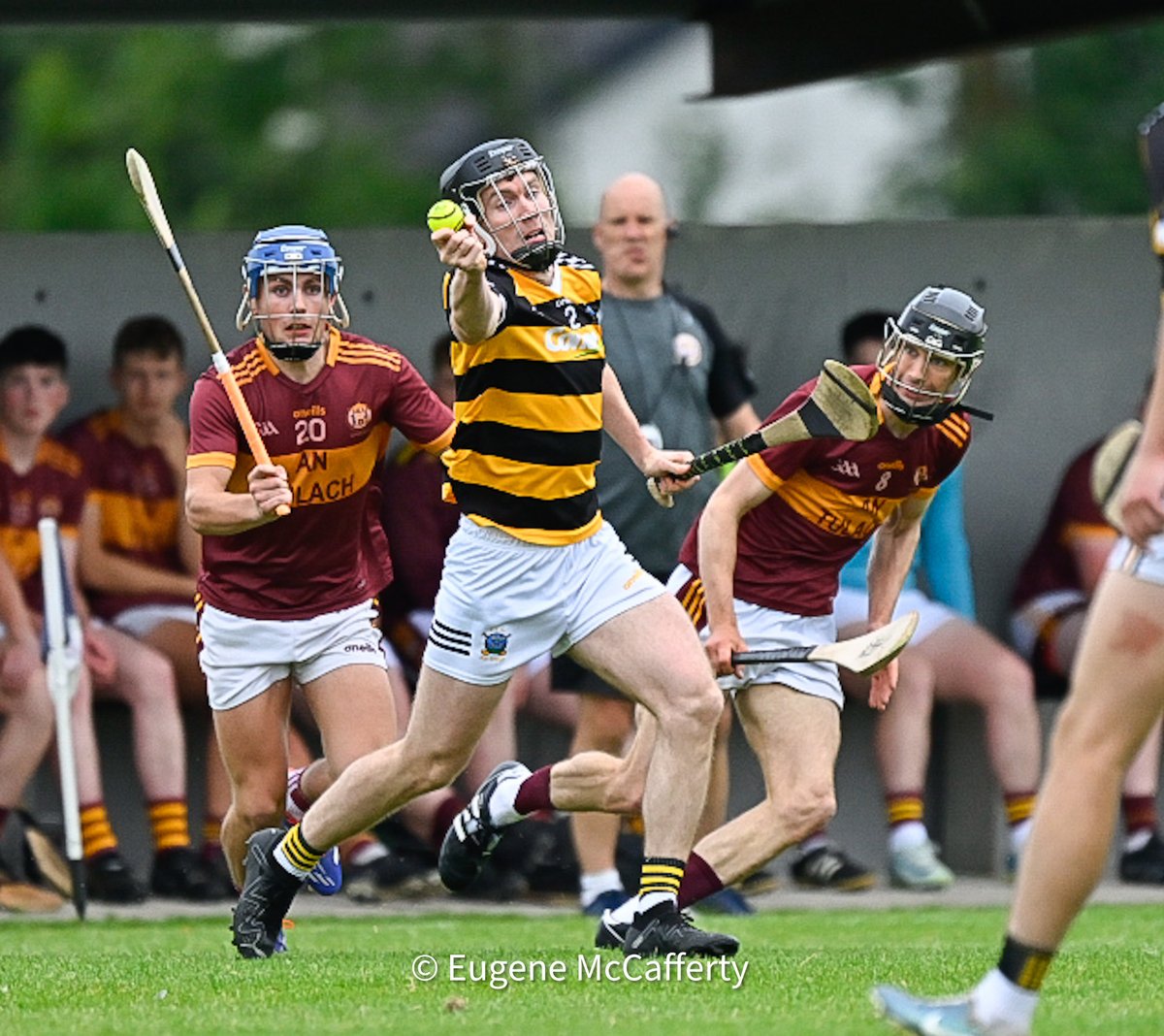 The Clare Champion tweet media