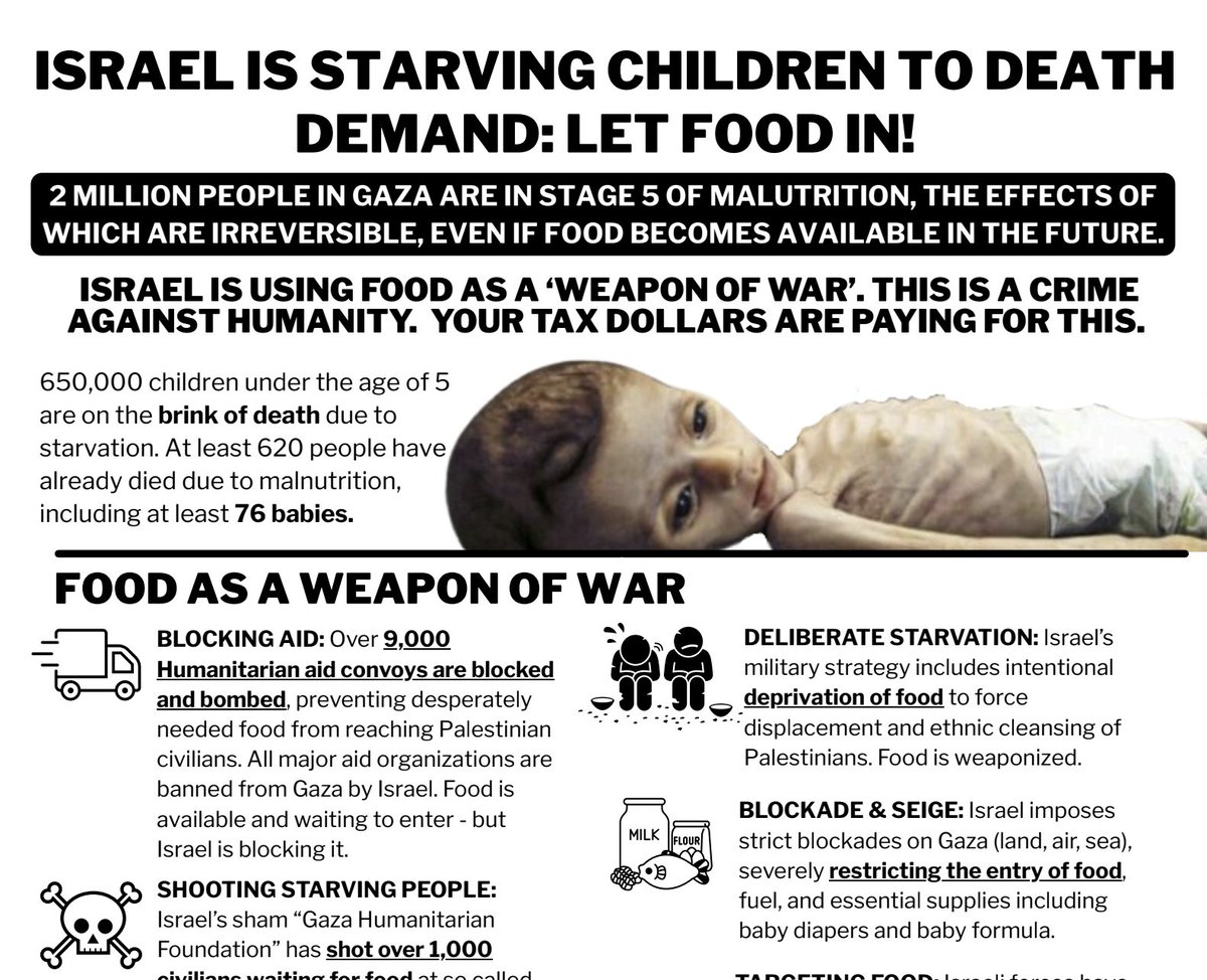 PapersProject's tweet image. Here's a PDF flyer that you can use to download and print at a protest:
ISRAEL IS STARVING CHILDREN TO DEATH:
papersproject.com/2025/07/24/isr…