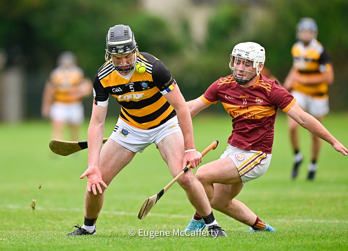 The Clare Champion tweet media