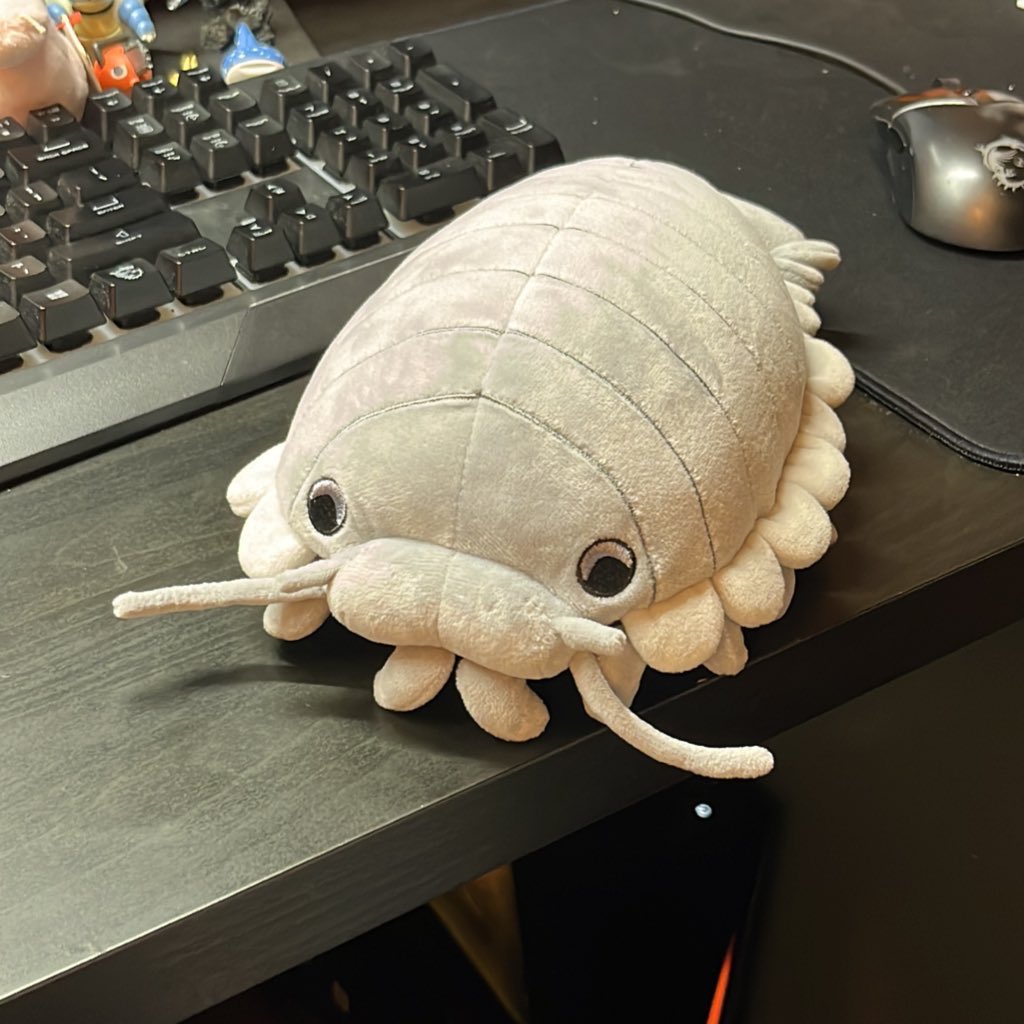 sneepsnorp3d's tweet image. tomorrow is his first birthday ever