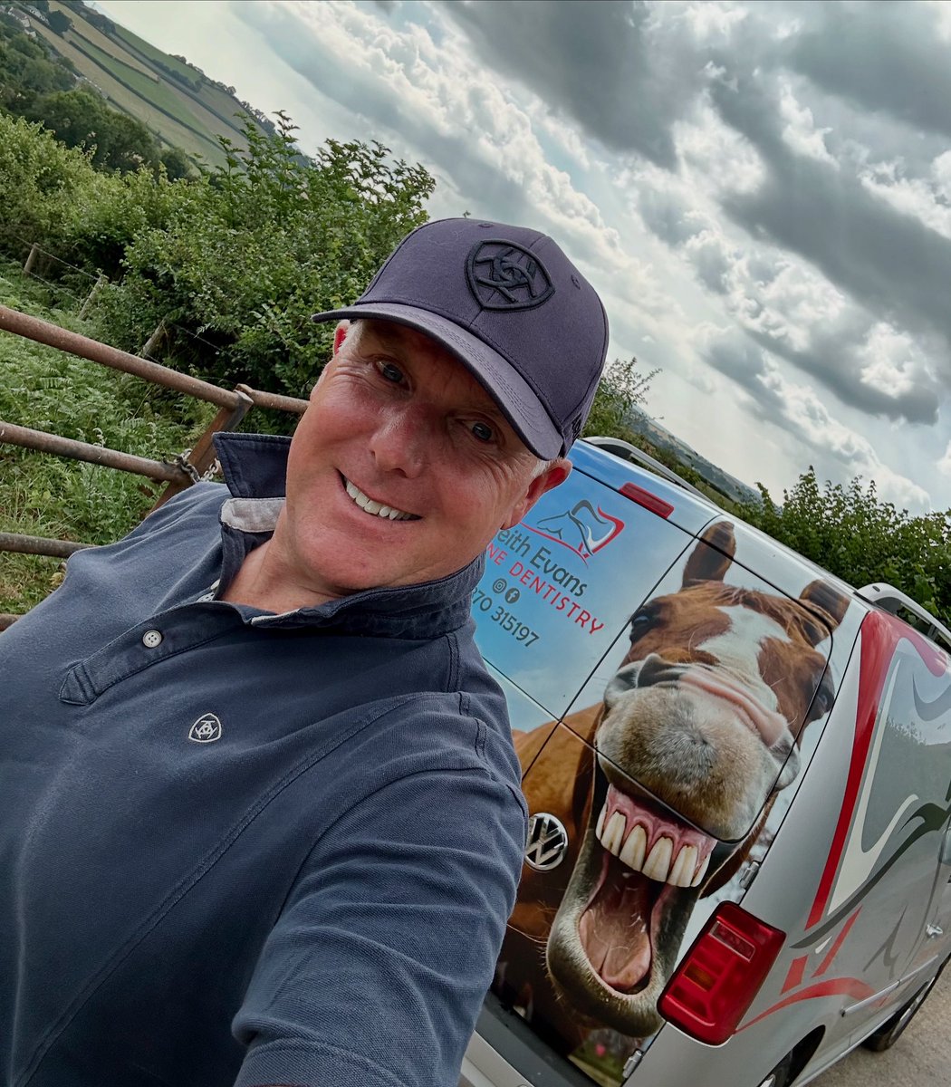 DartmoorHorseDentist tweet media