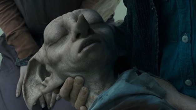 We will always miss Dobby 🥺