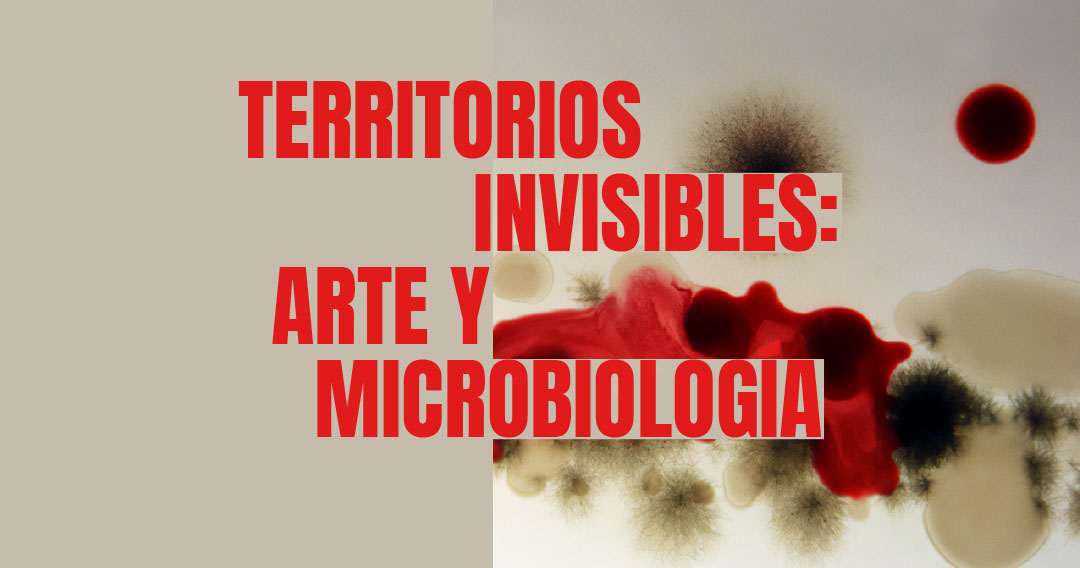 CCEBA's tweet image. 🦠Territorios Invisibles: Arte y Microbiología
👩💻Taller ONLINE dictado por Luciana Paoletti
📅11, 13, 18 y 20 de agosto
cceba.aecid.es/-/territorios-…