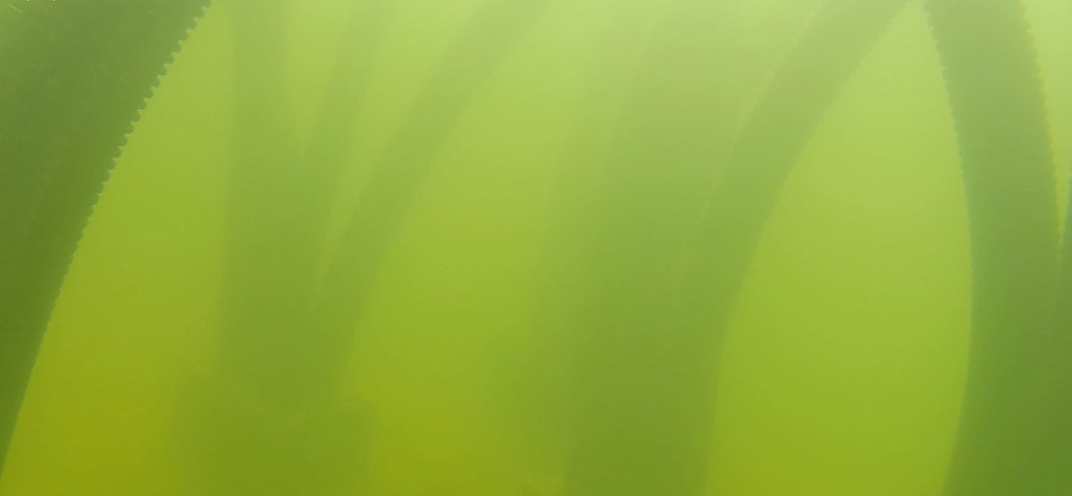 More under water images of artificial fish habitat that was more recently set out.  Algae had not had time to begin growth yet.  These show difference in structures placed close together vs. more spread out.