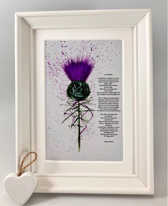 amazingraceart's tweet image. 💜’Ae Fond Kiss’ Scottish Thistle original art print presented in white picture frame #MHHSBD #shopindie #UKGiftAM 
etsy.com/uk/listing/431…