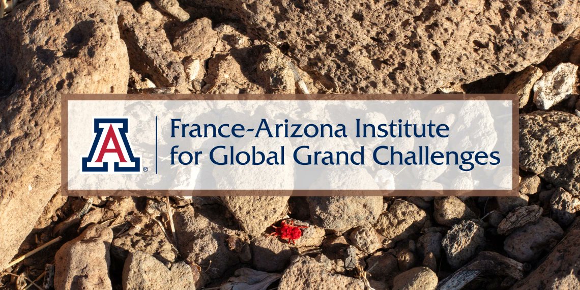 Six U of A-CNRS research teams are tackling climate &amp; health challenges by researching solar desalination, wildfire impacts, allergen forecasting &amp; more through France-Arizona Institute partnerships. With student exchanges/joint work at Biosphere 2 &amp; France’s Ecotron, this global