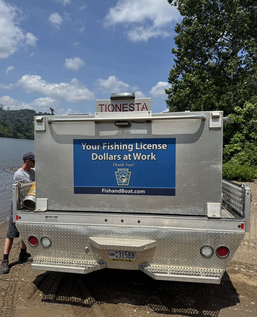 SenRobinsonPA's tweet image. A popular sport fish comes home! After falling victim to pollution over 100 yrs ago, it was great to help @pafishandboat reintroduce more native Blue Catfish to our now cleaner rivers. About 2300 yearlings were set loose at the Leetsdale Borough Boat Launch today.