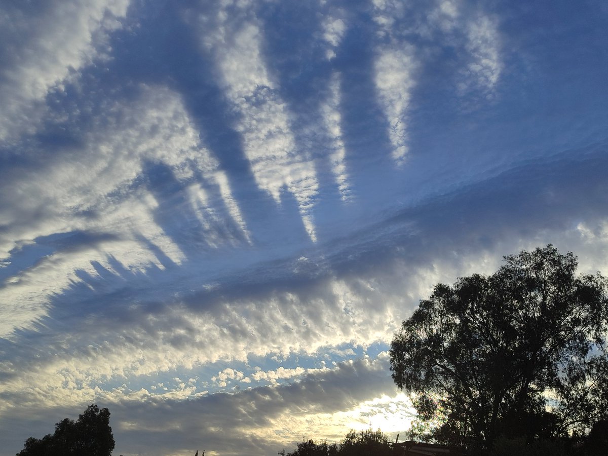 <a href="/Granada_Meteo/">tiempo en Granada</a> <a href="/tiempobrasero/">Tutiempo</a> <a href="/ecazatormentas/">Cazatormentas</a> El cielo,hoy es una pasada!!!