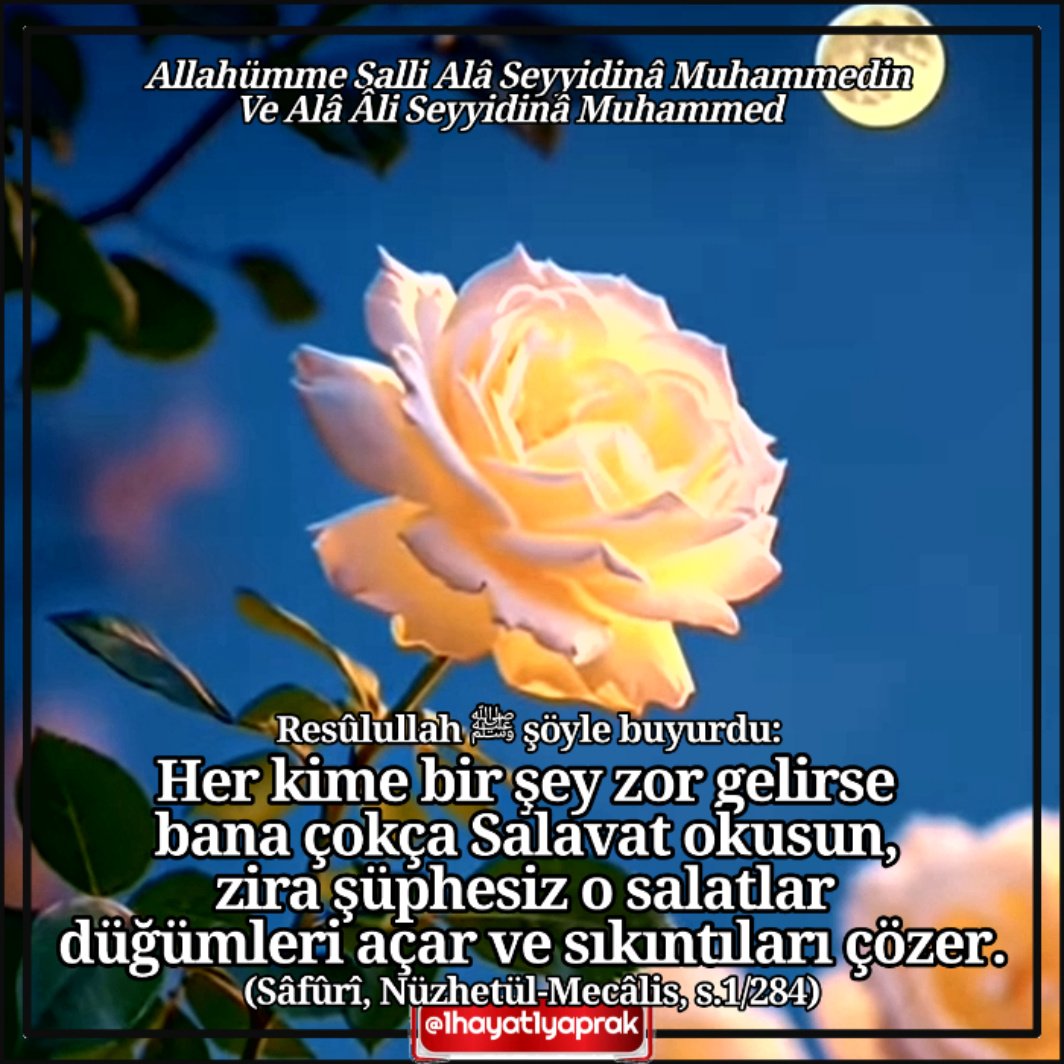 1hayat1yaprak's tweet photo. Rasûlullah ﷺ şöyle buyurdu;
Her kime bir şey zor gelirse bana çokça #salavat okusun, zira şüphesiz o salatlar düğümleri açar ve sıkıntıları çözer.
(Sâfûrî, Nüzhetül-Mecâlis, s.1/284)
#Muhammedecanfeda ❤️
#HayırlıCumalar https://t.co/lKKCr0liho