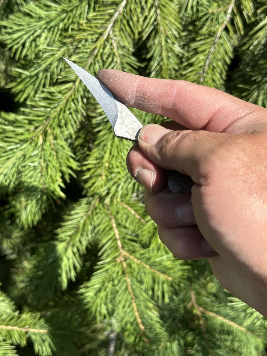 It looks like a wasp.  This one is rough ground and ready for heat treat.  It’s comfortable. Nothing there that doesn’t need to be.  3/16” 1095 steel.