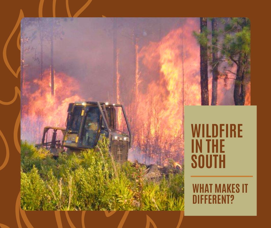 Southern Group of State Foresters (@sgsf_forests) on Twitter photo With activity year-round and fast-spreading surface fires, wildfire management in the South requires a unique approach. One built on speed, coordination and community-level planning. Learn more at bit.ly/3pygfdt #SouthernForests #WildlandFire #Wildfire With activity year-round and fast-spreading surface fires, wildfire management in the South requires a unique approach. One built on speed, coordination and community-level planning. Learn more at bit.ly/3pygfdt #SouthernForests #WildlandFire #Wildfire