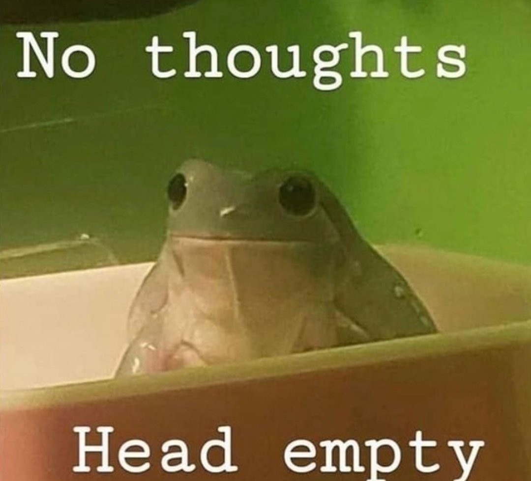 No Context Frogs (@nocontextfrogs) on Twitter photo 