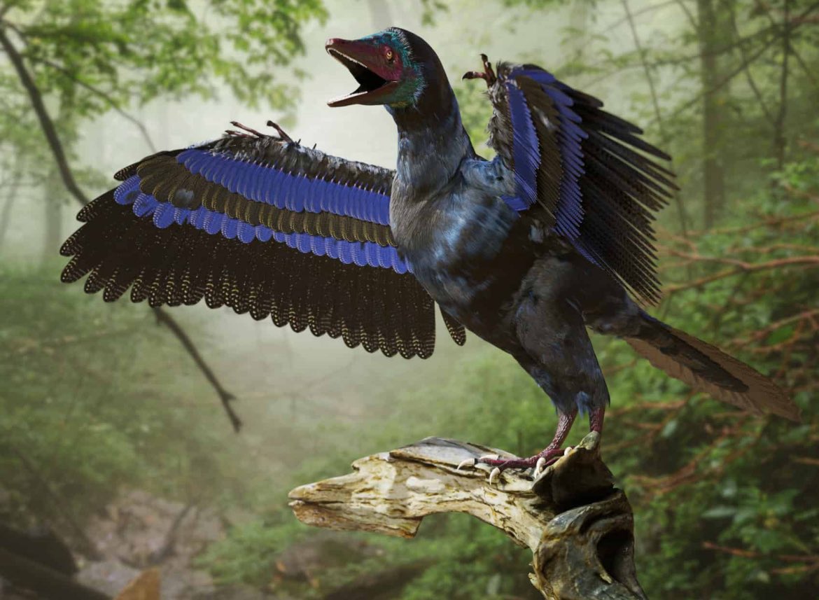 Do you think that all dinosaurs are extinct?

They really aren’t

It’s just that your familiarity with birds means you don’t realise that they’re actually just the latest remaining iteration of the line…