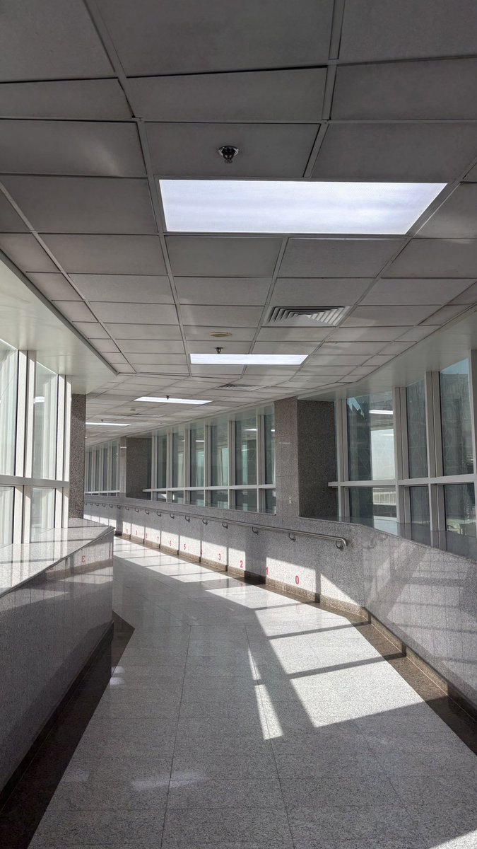 🥷🏻 tweet media