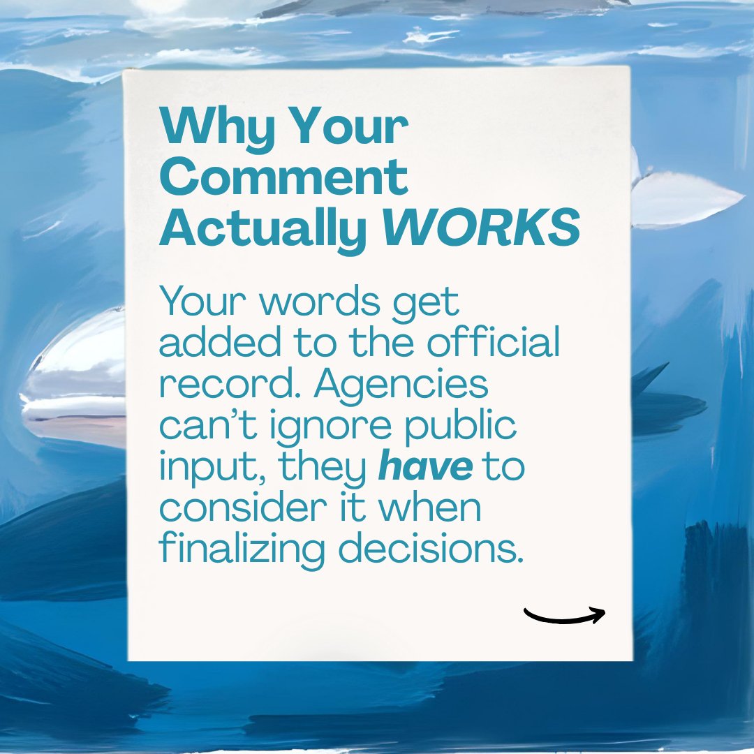 alaskawild's tweet image. Some people write love letters.
We write public comments.

Same energy, just directed at saving 13 million acres of the Western Arctic. 

📢 Read why speaking up actually works:
🔗 bit.ly/4mhUZ3z