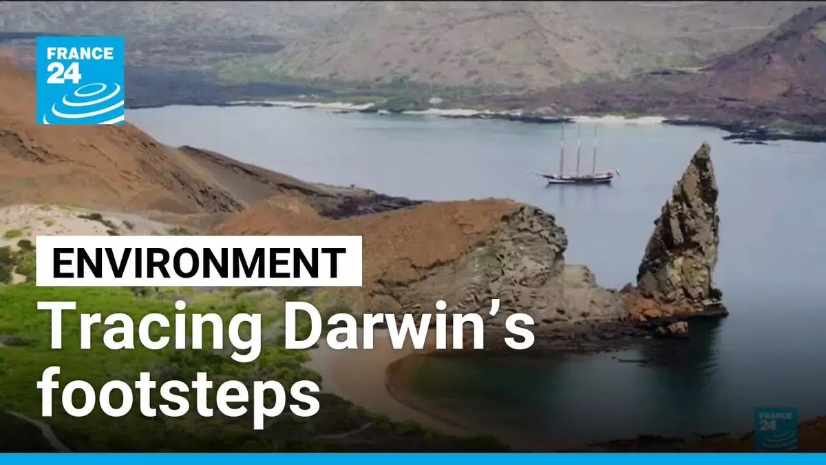 France24_en's tweet image. ▶️ Environment : Tracing Darwin’s footsteps through modern ecological discovery f24.my/BKoB.x