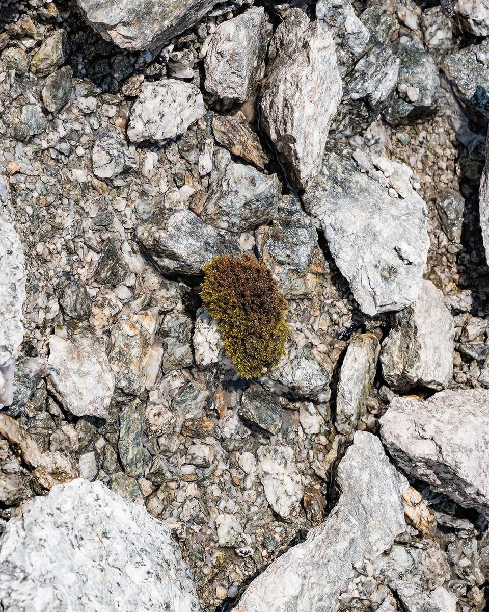 Mer de Glace has lost 4.5 m in thickness at the level of the ice cave (1750 m) since the 1st May 2025! 😲😱

On 5th July it has been recorded 5 cm of ablation in 5 hours... 🔥

Ablation rates are truly absurd now in the Alps! 🥵

Source/pics: Pierre Jeanneret / IG
