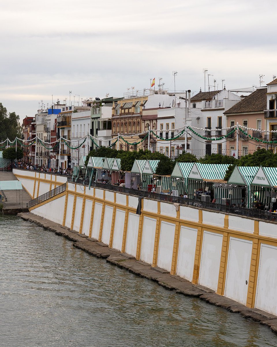 JoseCampanaF's tweet photo. La Velá del año. 

#VelaSantaAna25 #Sevilla https://t.co/2qjyvIpWxl