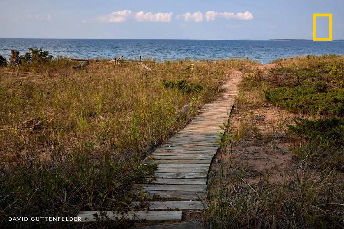 NatGeo's tweet image. There are a lot of paths you can take in life, but this looks like a particularly good one.