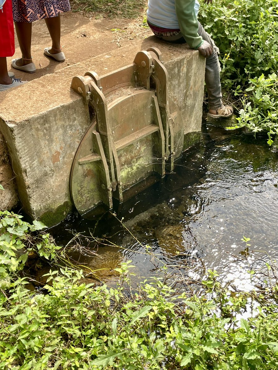 jaonduto's tweet image. Day 2 of the #journeyofwaters uncovered the injustices  along the rivers .
From diverting rivers into private farms to encroaching to the riparian lands .
A call to action together protects water sources 
@KajiadoGov 
@WWF_Kenya 
#tunzamitoboreshamaisha