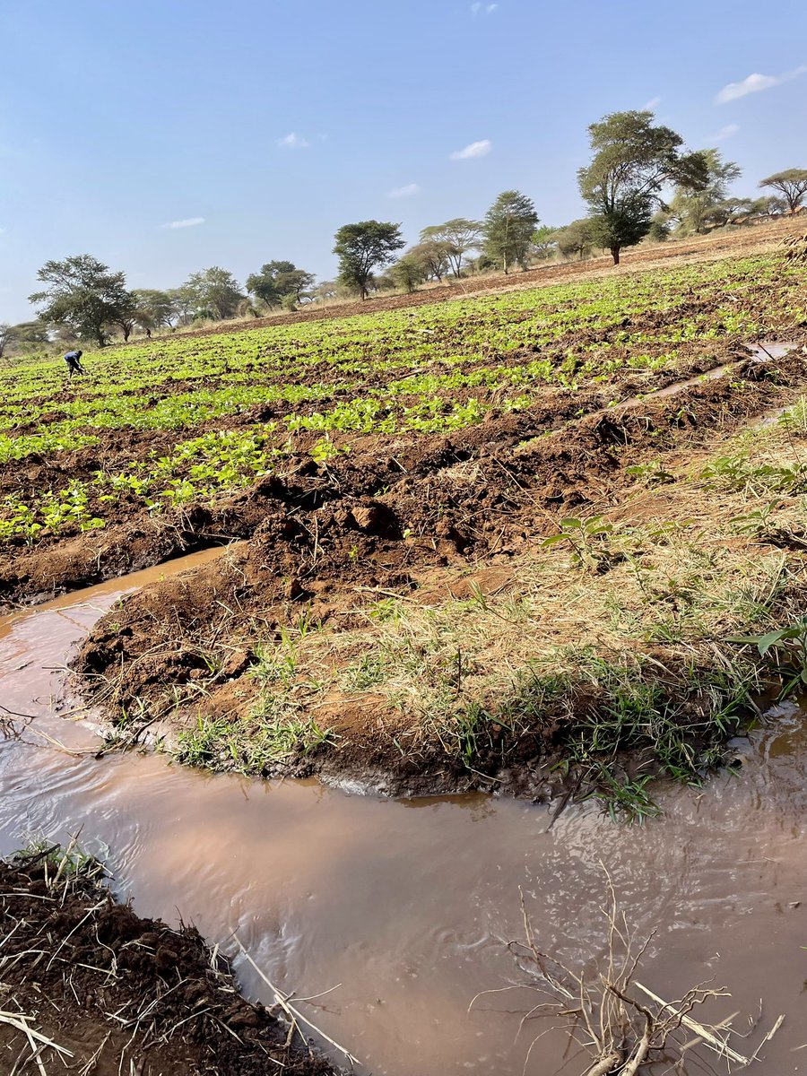 jaonduto's tweet image. Day 2 of the #journeyofwaters uncovered the injustices  along the rivers .
From diverting rivers into private farms to encroaching to the riparian lands .
A call to action together protects water sources 
@KajiadoGov 
@WWF_Kenya 
#tunzamitoboreshamaisha