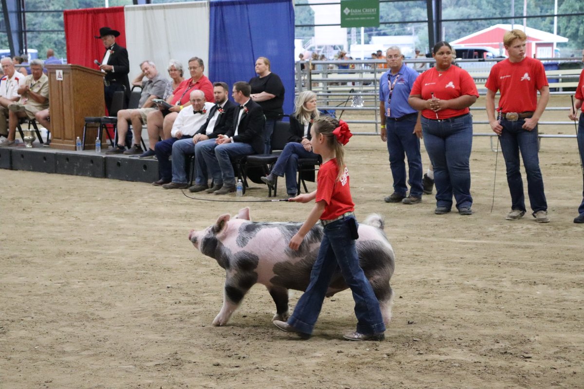 We loved seeing youth exhibitors showcase their hard work and dedication in the ring at the Livestock Extravaganza at the Delaware State Fair!

Check out some highlights and don’t miss the Junior Livestock Auction tonight! We are excited to support Delaware's junior exhibitors!