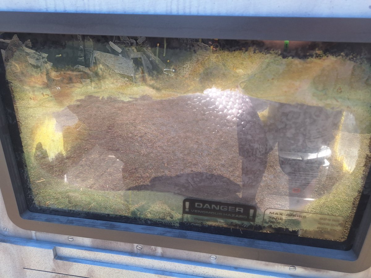 There's an #Alien lurking at #SDCC #alienearthfx