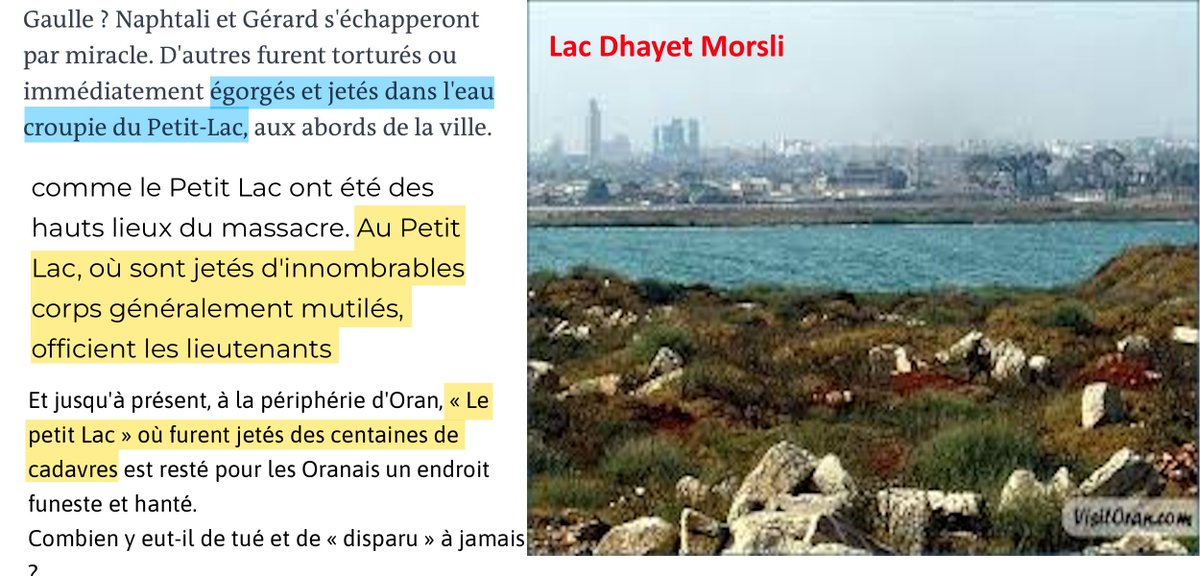 DzayerOffensive's tweet image. Les natio français 🇫🇷 & les sub-sahariens qui se moquent du massacre de la seine, vous savez au moins que les algériens se sont vangés et ont fait pire à vos congénères ?
Lors de la fiesta d'Oran en 62, le FLN 🇩🇿 a fait de même en jetant les entrailles de centaines de corps de…