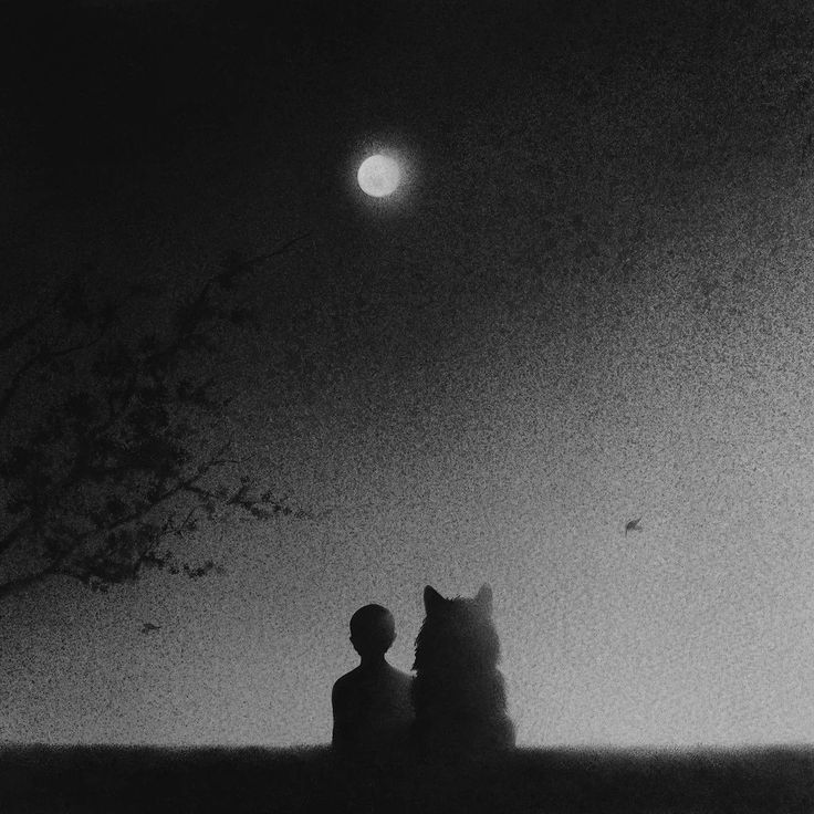 Black. (@blackdreamvibes) on Twitter photo 