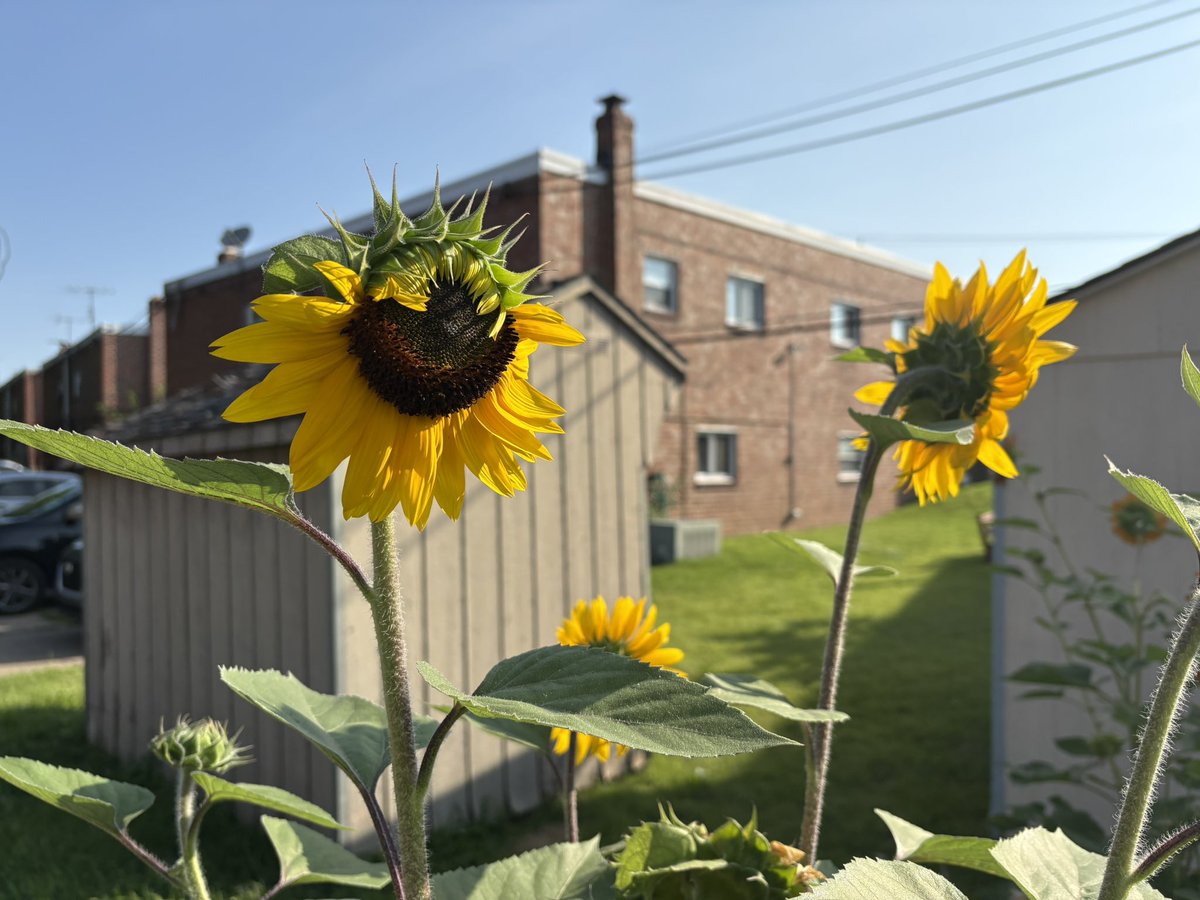 Brian M Schweiker (@b_schweik) on Twitter photo 