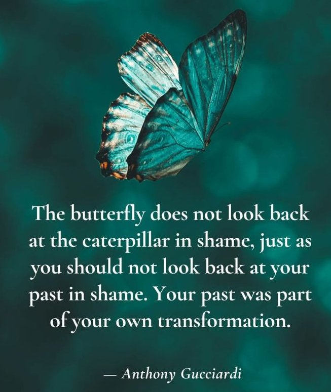 SEEyourVIBE's tweet image. ✨✨✨