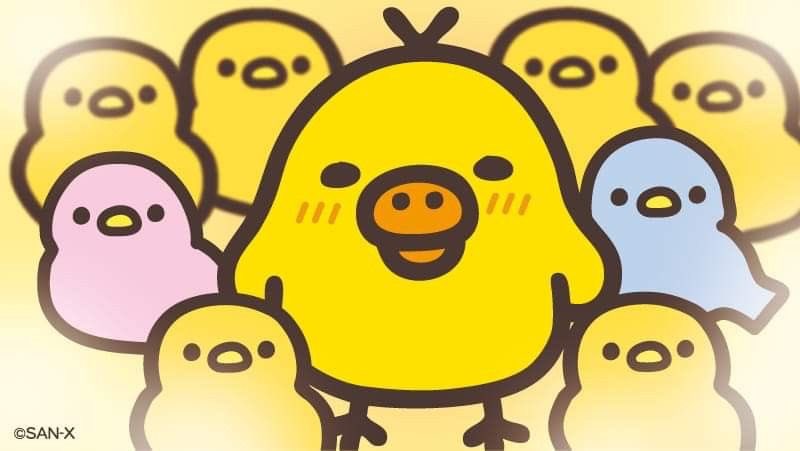 dosomethingplzz's tweet image. #식사계 #음식계 #일상계 #트친소
#식사계트친소 #음식계트친소 #일상계트친소
#식사계_트친소 #음식계_트친소 #일상계_트친소
일상 공유할 트친 상시 모집합니다 !!
아갓쉬들만 모시겠습니다…
흔적 남겨주시면 천천히 찾아갈게요…♡