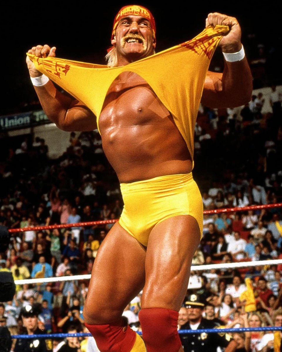 AimeTim's tweet image. RIP #hulkhogan