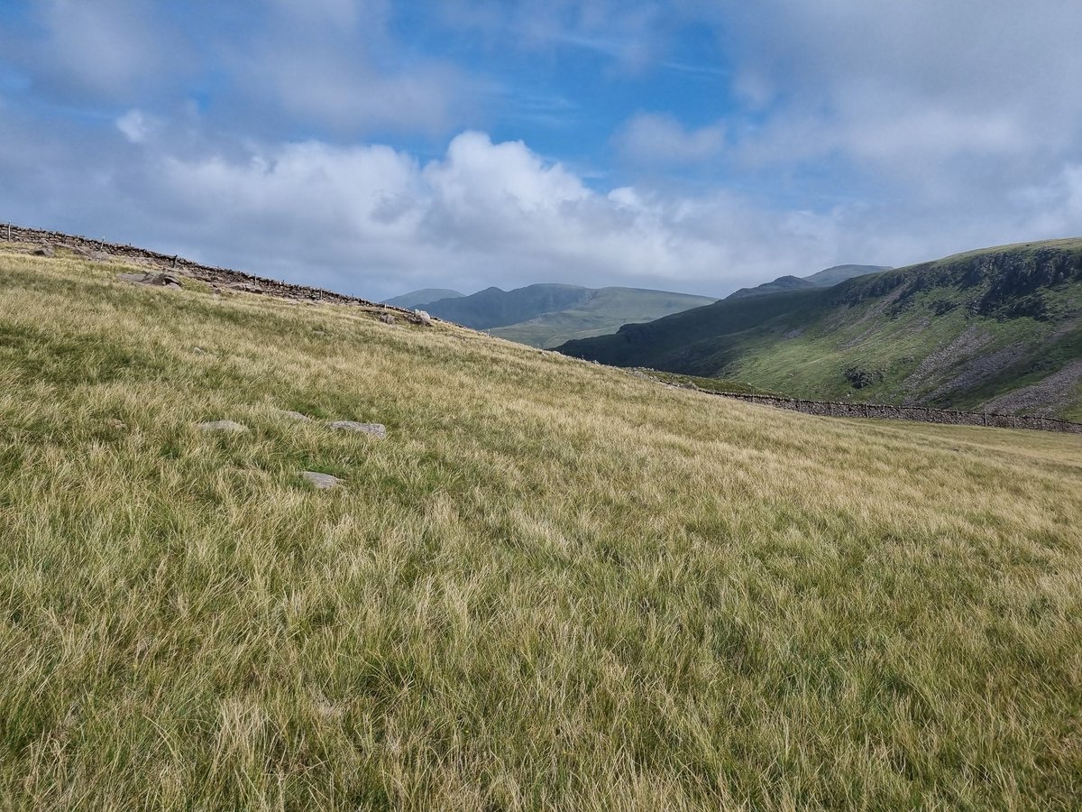 Sheila Gregory (@sheilag17662835) on Twitter photo Today's #Wainwrightwalk was Caw Fell from Kinniside Stone Circle. A good walk for the over 65s good gradients all the way .Great walk as long as you can do 12 miles there and back. Great #Views of big #mountains but hazy.
<a href="/keswickbootco/">Keswick boot co</a> Hanwags did well today #LakeDistrict Today's #Wainwrightwalk was Caw Fell from Kinniside Stone Circle. A good walk for the over 65s good gradients all the way .Great walk as long as you can do 12 miles there and back. Great #Views of big #mountains but hazy.
<a href="/keswickbootco/">Keswick boot co</a> Hanwags did well today #LakeDistrict