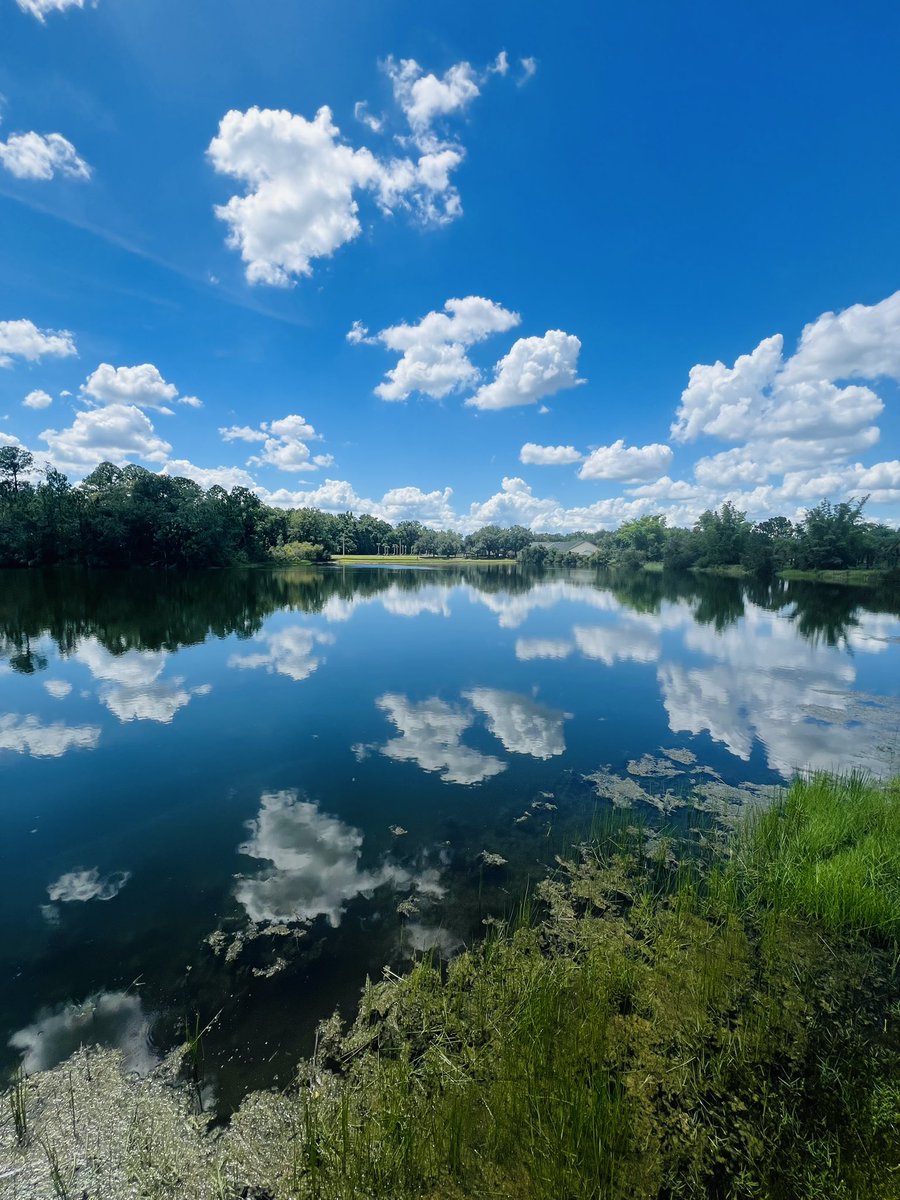 TheDrugMoney's tweet image. You can just go outside