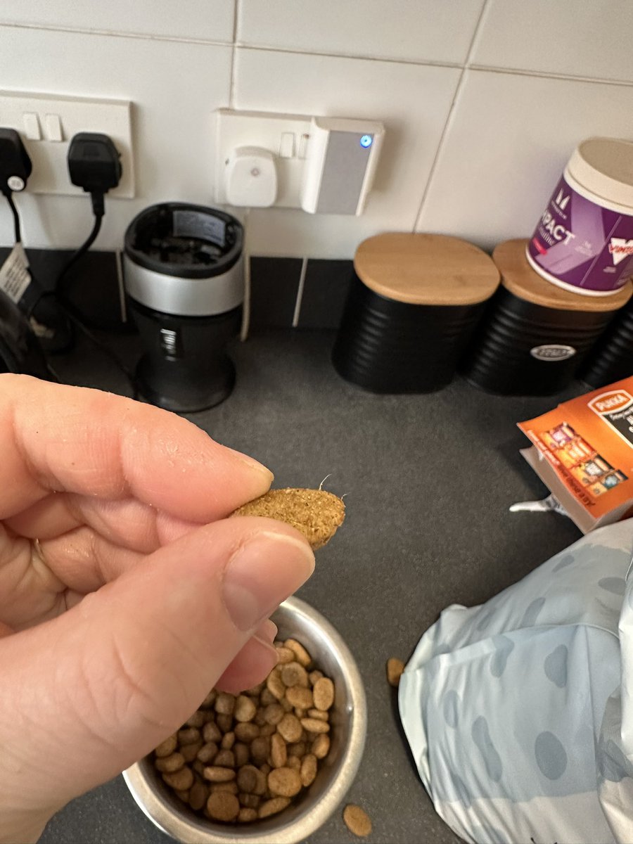 stephanyfxo's tweet photo. @tailsdogfood went to feed my dog his dry food tonight and I noticed these white sprouts out of his food? Is this normal? https://t.co/jiXCOPS881