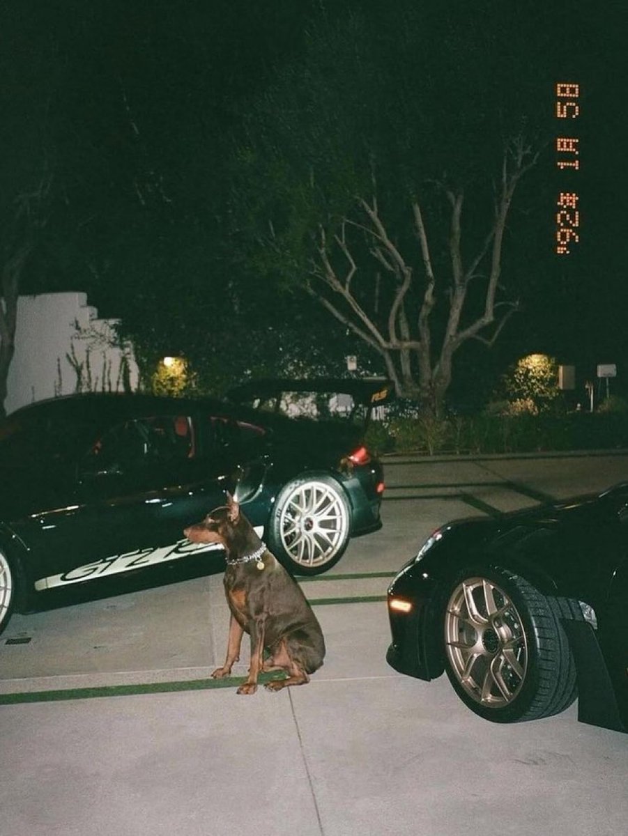 Luke_martin46's tweet image. Can I get a GN? 🖤