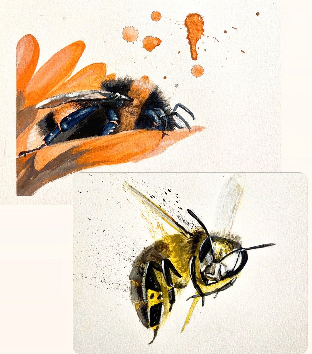 bowenstuff's tweet photo. 🐝Bee studies on paper. 
9x12 acrylic on paper. Each $250 DM me if interested https://t.co/ycZrPNYNz0