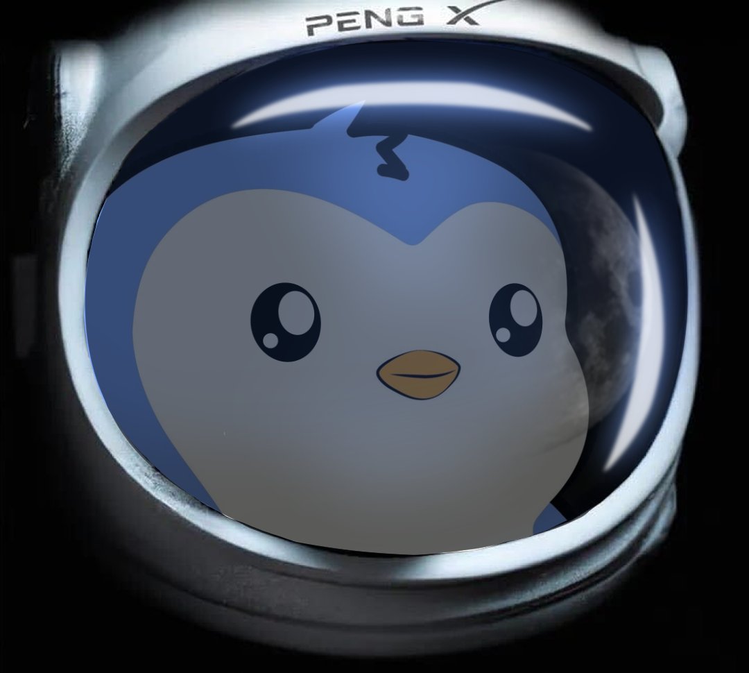 naumaniqbal92's tweet image. Pudgypenguins and $pengu will reach mars before @elonmusk